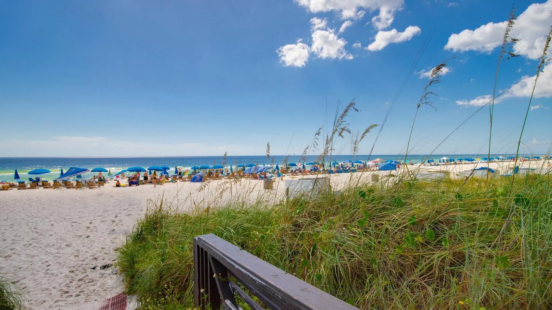 Shores Of Panama By Blue Swell Panama City Beach Holiday home