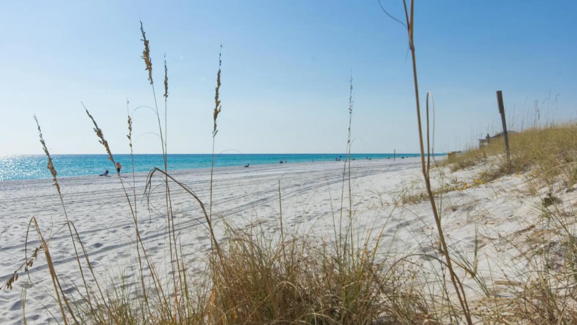 Shores Of Panama By Blue Swell Panama City Beach 0*,