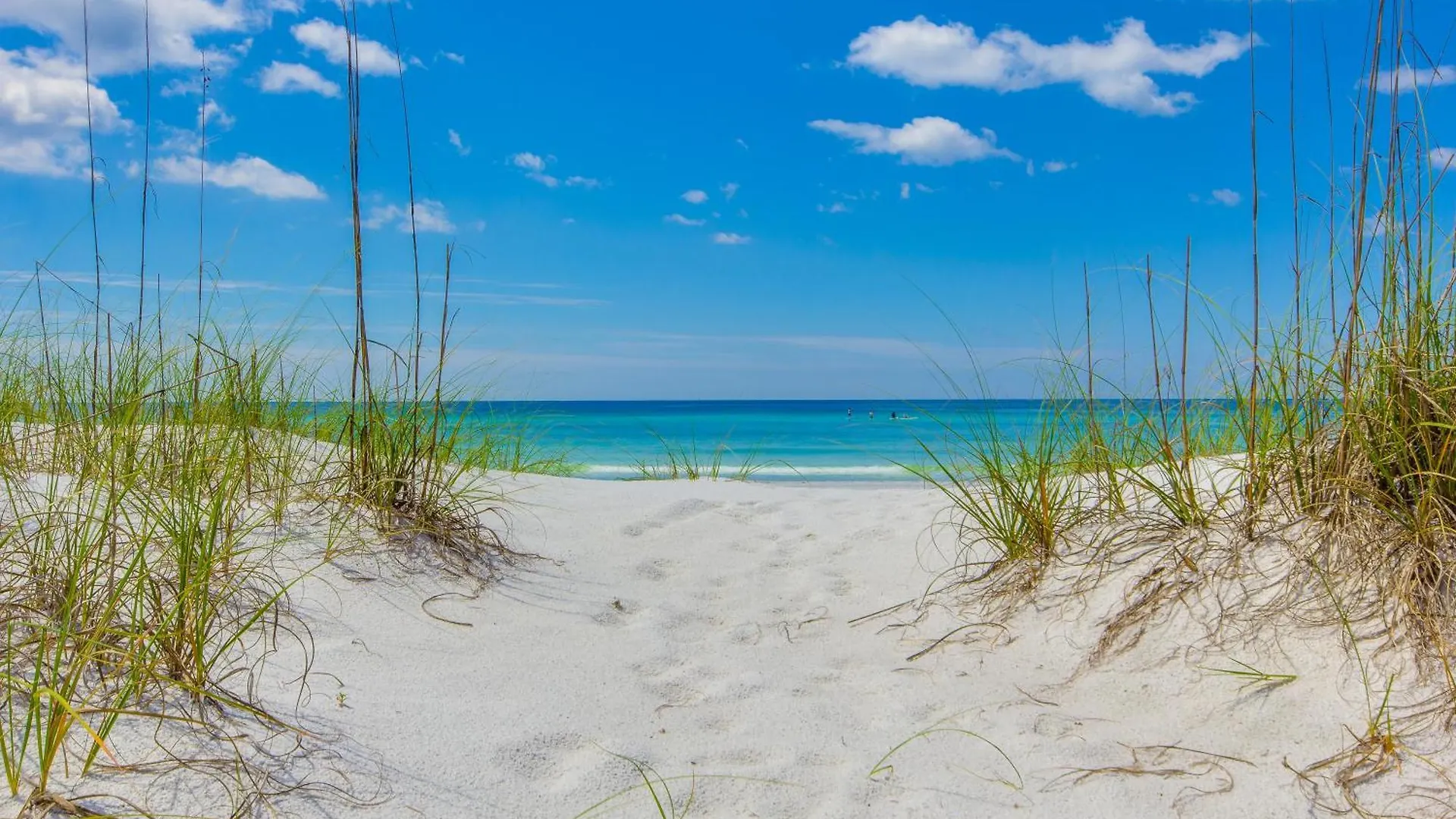 Shores Of Panama By Blue Swell Panama City Beach